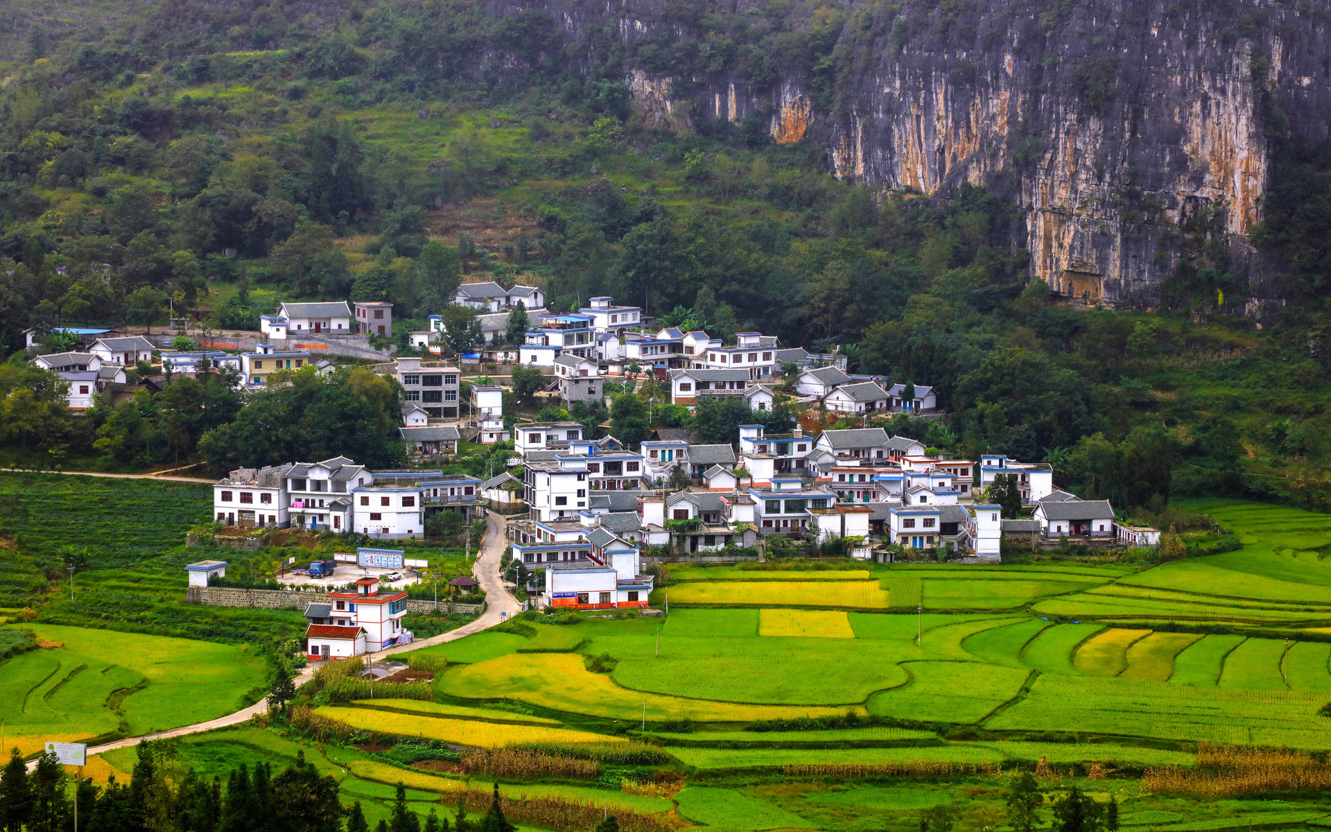 摄图网_501567222_banner_画廊人家（企业商用）.jpg