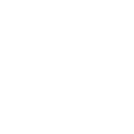 定战略
