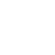 定组织