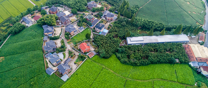 田园1.jpg