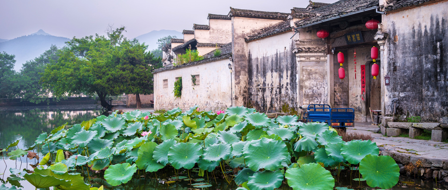 摄图网_500548903_wx.jpg