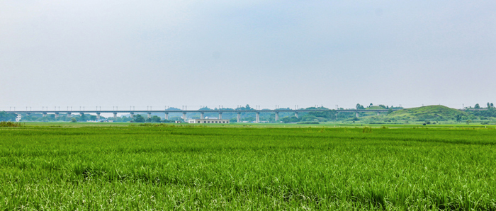 摄图网_501367792_wx.jpg