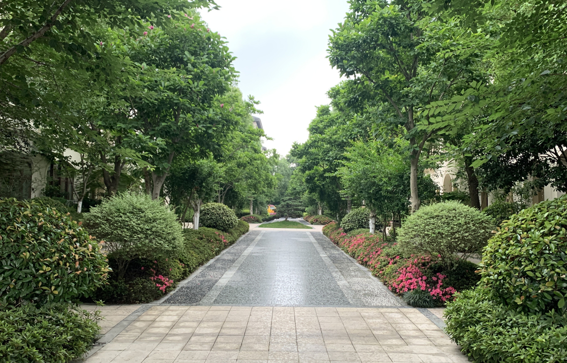 微信图片_20200916145619.jpg
