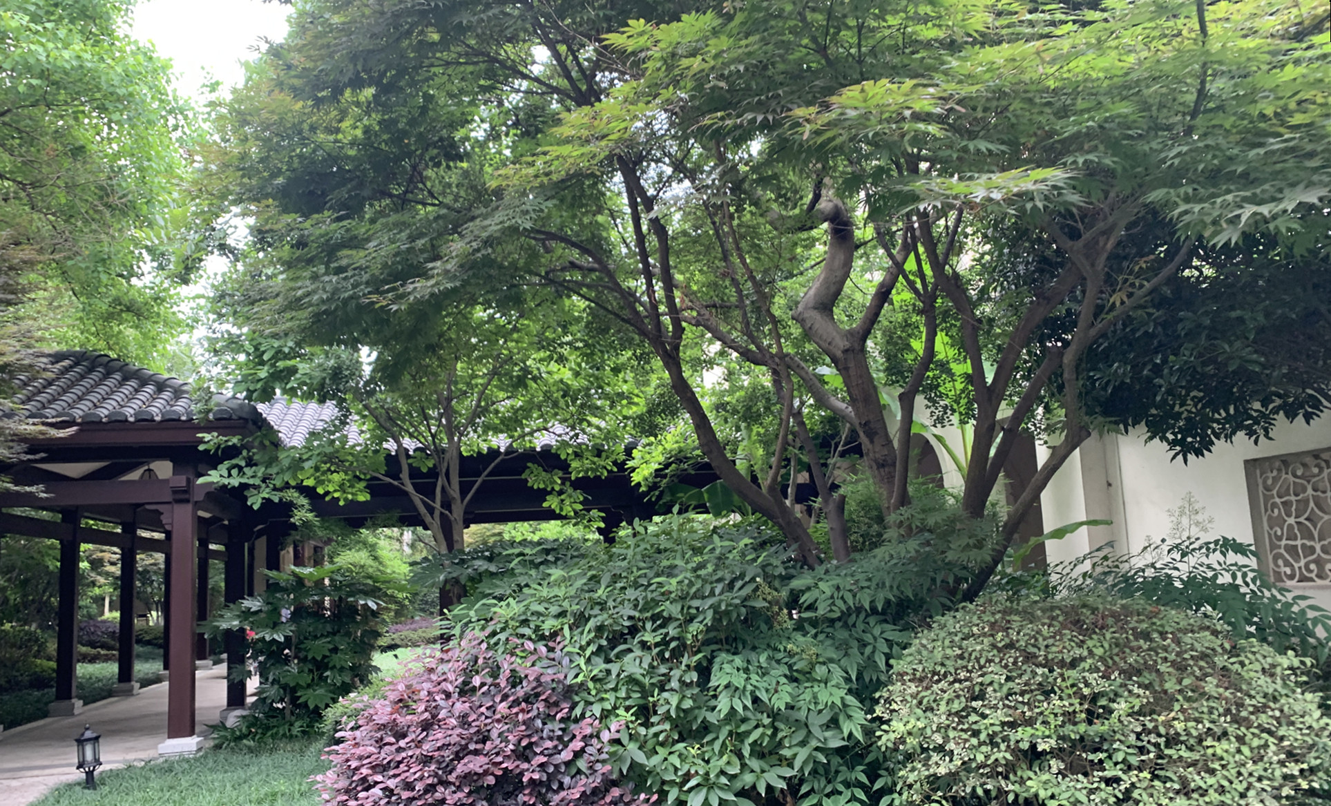 微信图片_20200916145615.jpg